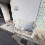 サンフェアリーⅡ 画像5