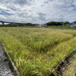奈良市中町貸し土地 画像4 奈良市中町貸し土地 画像4